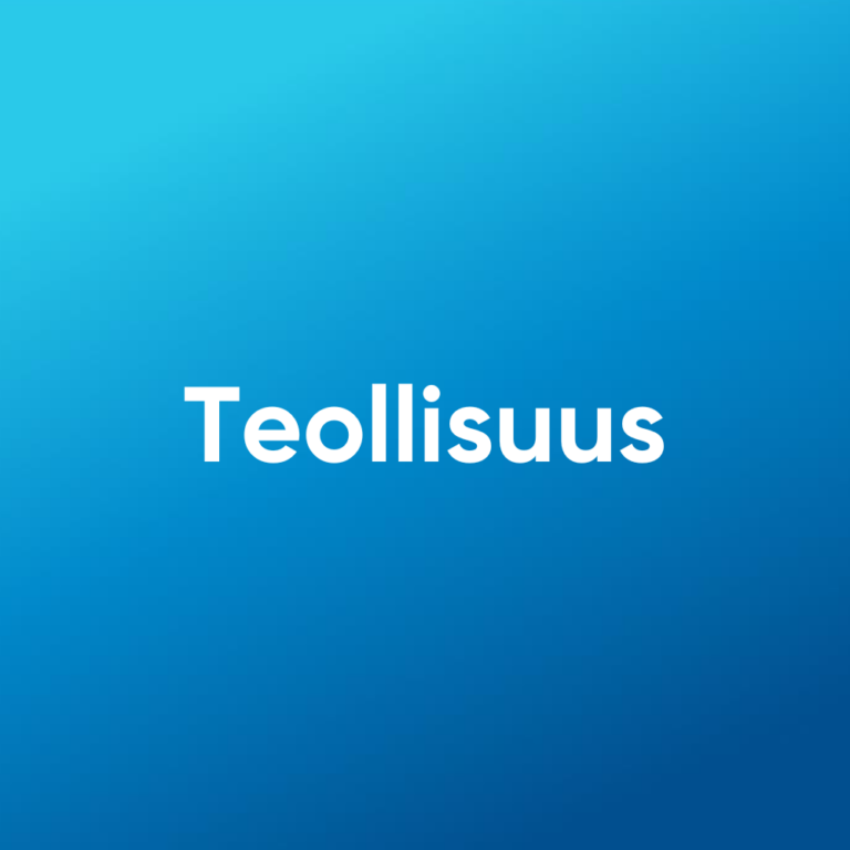 ERP-toiminnan­­ohjausjärjestelmä